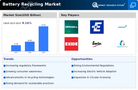 Battery Recycling Market Infographic