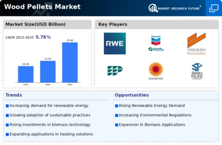 Wood Pellets Market Infographic