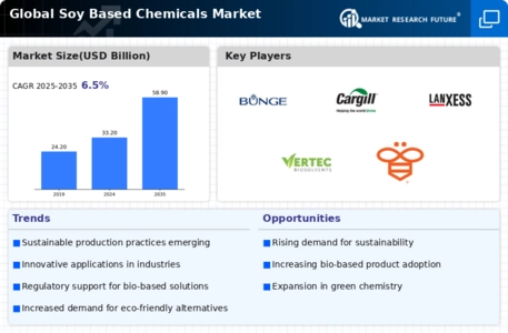 Soy Based Chemicals Market Infographic