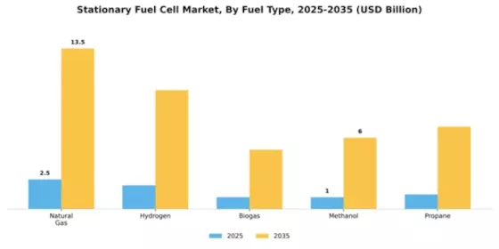 Stationary Fuel Cell Market Segment Image 2
