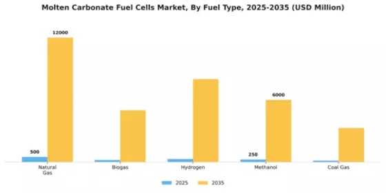 Molten Carbonate Fuel Cells Market Segment Image 2