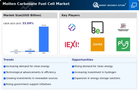 Molten Carbonate Fuel Cells Market Infographic