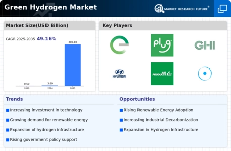 Green Hydrogen Market Infographic