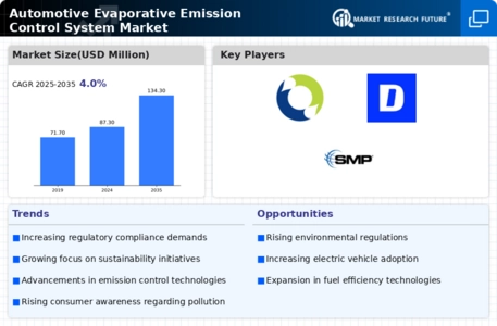 Automotive Evaporative Emission Control System Market Infographic