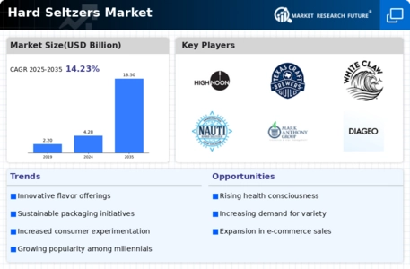 Hard Seltzers Market Infographic