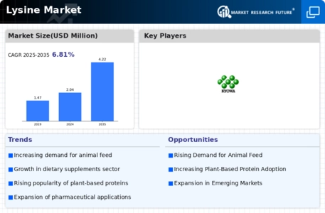 Lysine Market Infographic