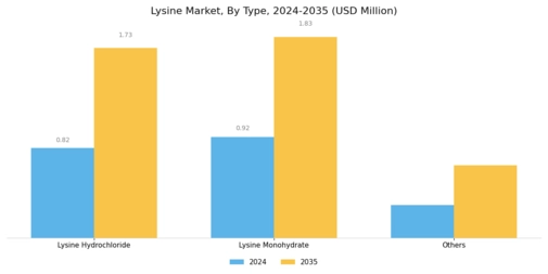 Lysine Market Segment Image 0