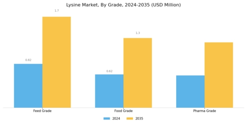 Lysine Market Segment Image 1