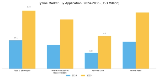 Lysine Market Segment Image 3