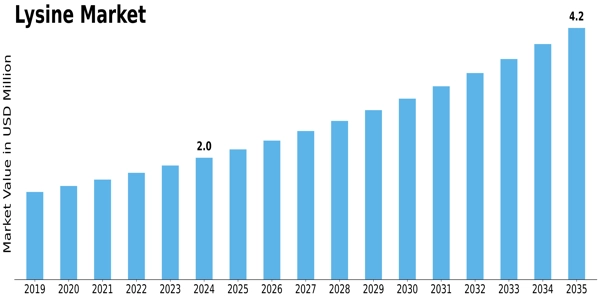 Lysine Market Size