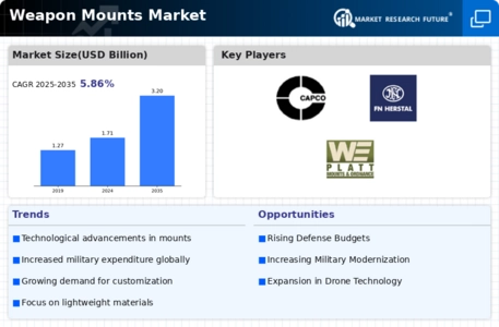 Weapon Mounts Market Infographic