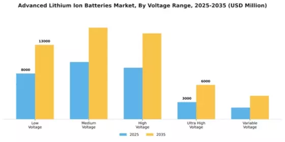 Advanced Lithium Ion Batteries Market Segment Image 4