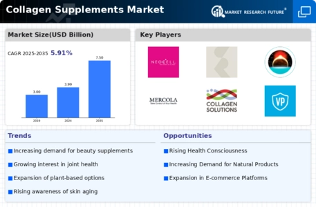 Collagen Supplements Market Infographic