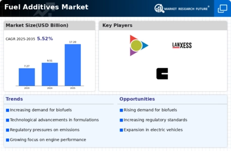 Fuel Additive Market Infographic