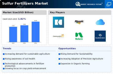 Sulfur Fertilizers Market Infographic