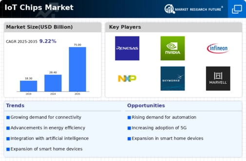 IoT Chips Market Infographic