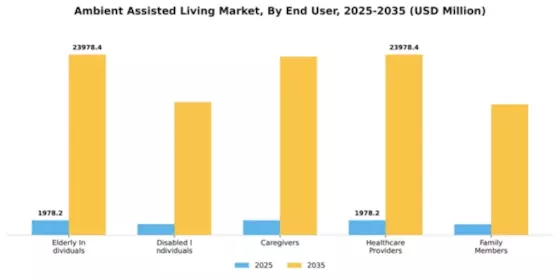 Ambient Assisted Living Market Segment Image 1