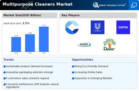 Multipurpose Cleaners Market Infographic
