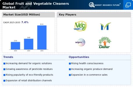 Fruit Vegetable Cleaners Market Infographic