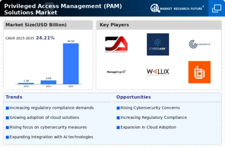 Privileged Access Management Solutions Market Infographic