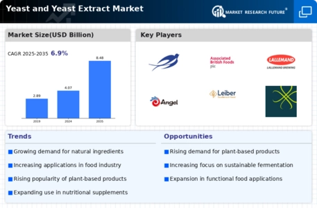 Yeast and Yeast Extracts Market Infographic