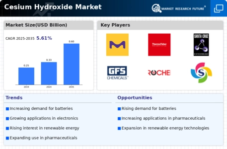Cesium Hydroxide Market Infographic
