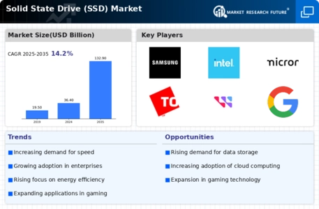 Solid States Drives Market Infographic