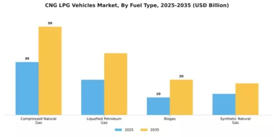 CNG LPG Vehicles Market Segment Image 2
