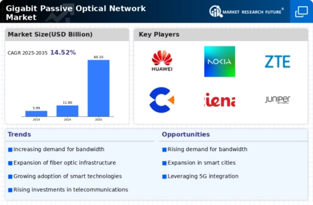 Gigabit Passive Optical Network Market Infographic