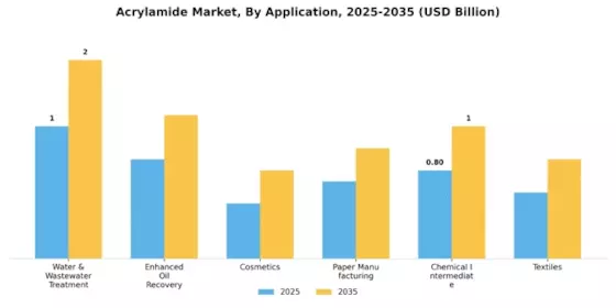 Acrylamide Market Segment Image 0