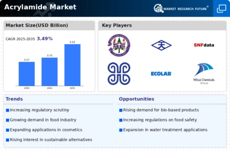 Acrylamide Market Infographic