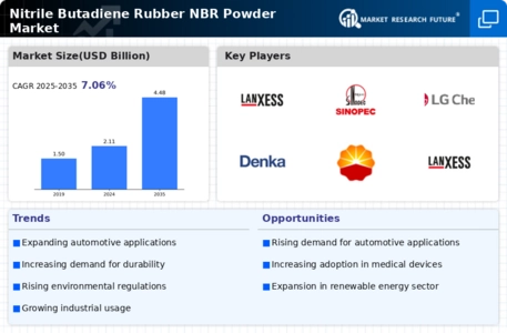Nitrile Butadiene Rubber Powder Market Infographic