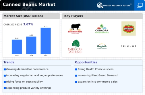 Canned Beans Market Infographic