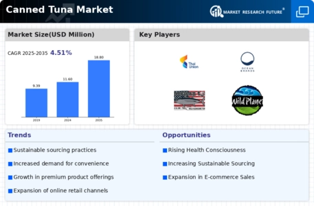 Canned Tuna Market Infographic