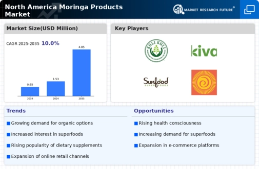 North America Moringa Products Market Infographic
