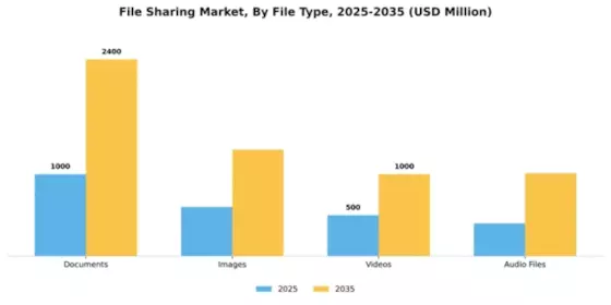 File Sharing Market Segment Image 3