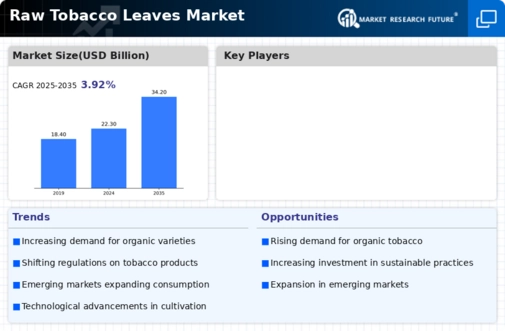 Raw Tobacco Leaves Market Infographic