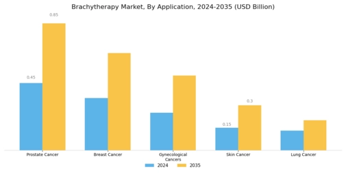 Brachytherapy Market Segment Image 0