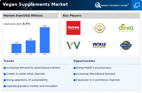 Vegan Supplements Market Infographic