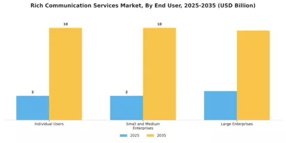 Rich Communication Service Market Segment Image 2