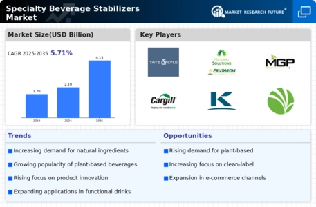 Specialty Beverage Stabilizers Market Infographic