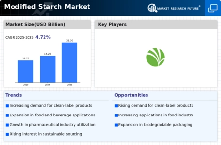 Modified Starch Market Infographic