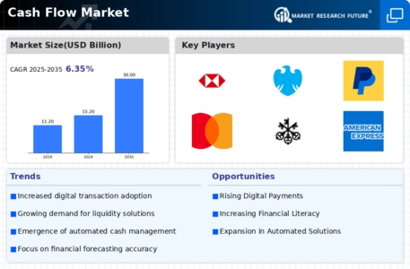 Cash Flow Market Infographic