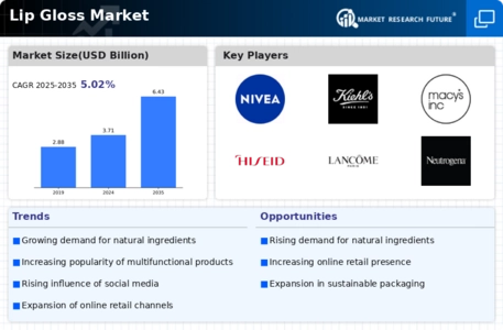 Lip Gloss Market Infographic