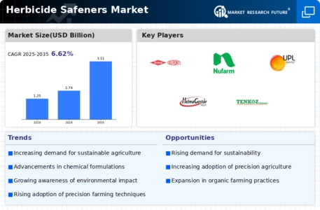 Herbicide Safeners Market Infographic
