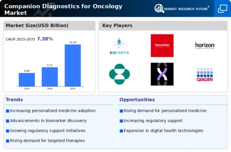 Companion Diagnostics Oncology Market Infographic