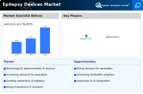 Epilepsy Devices Market Infographic