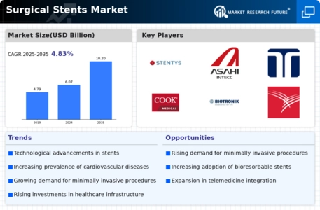 Surgical Stents Market Infographic
