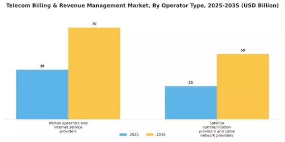 Telecom Billing Revenue Management Market Segment Image 1