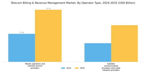 Telecom Billing Revenue Management Market Segment Image 1